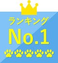 ランキングNo.1