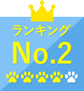 ランキングNo.2